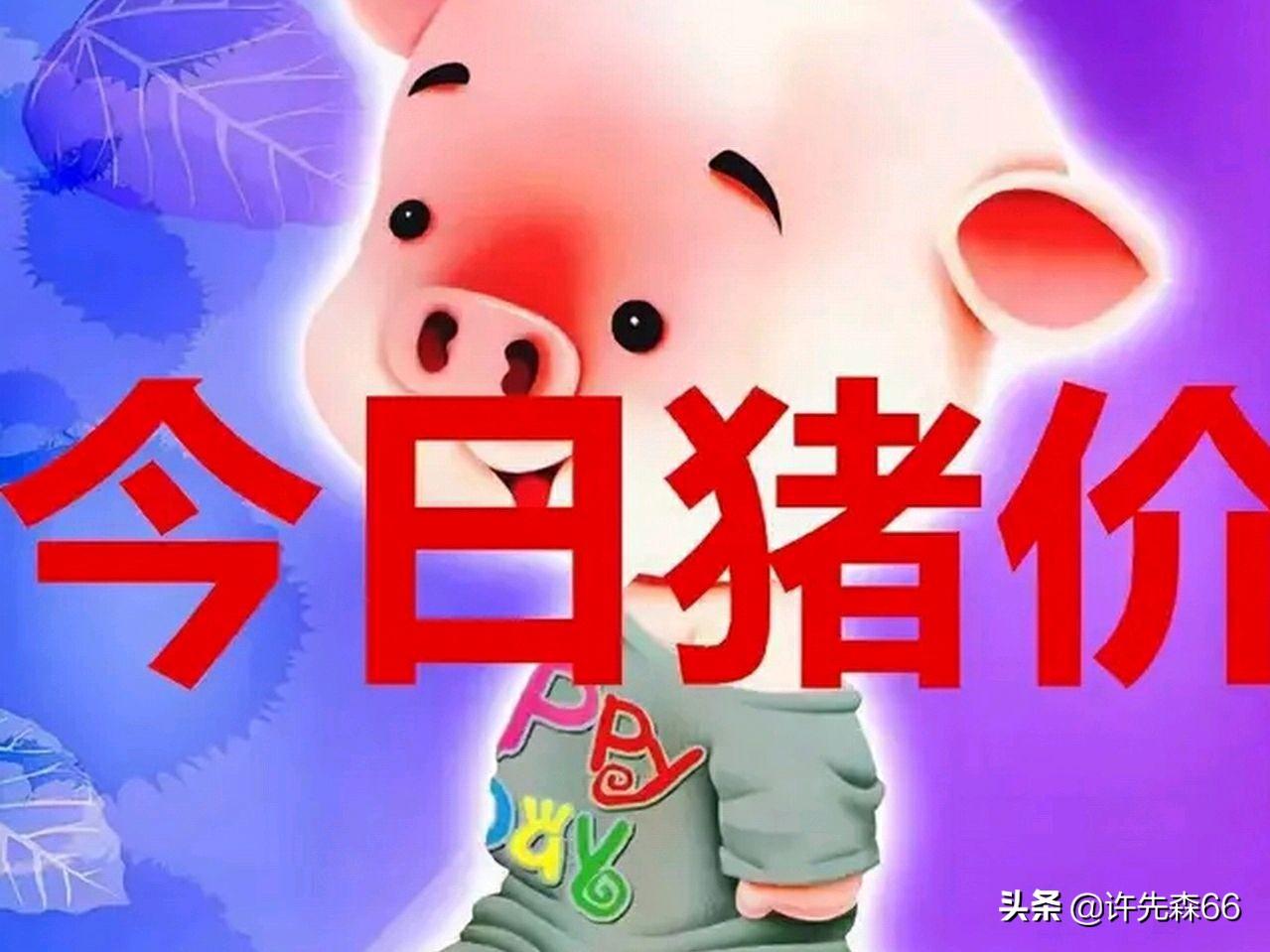 娱乐生活 第145页