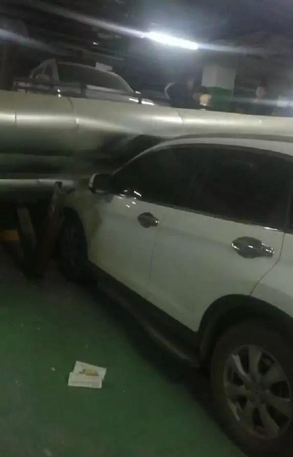 娱乐生活 第185页