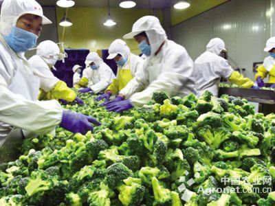 游戏专题 第173页