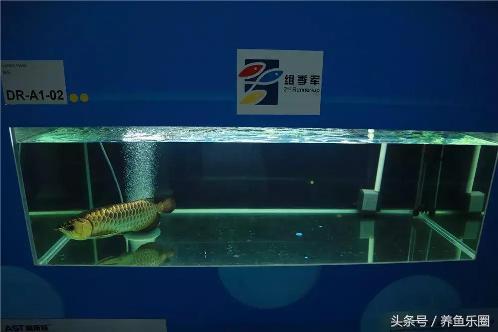 第839页