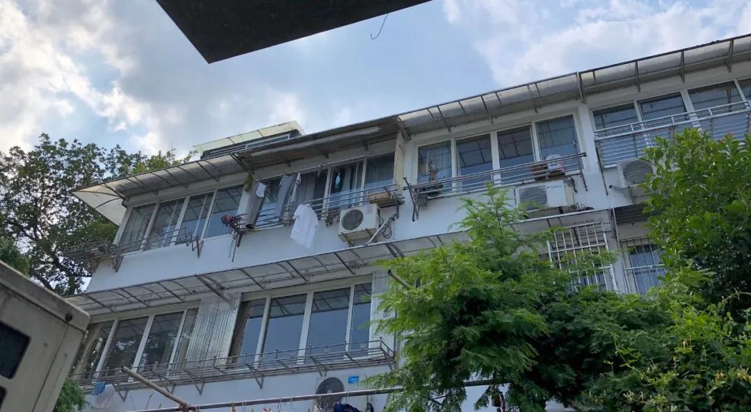 港澳新闻 第116页