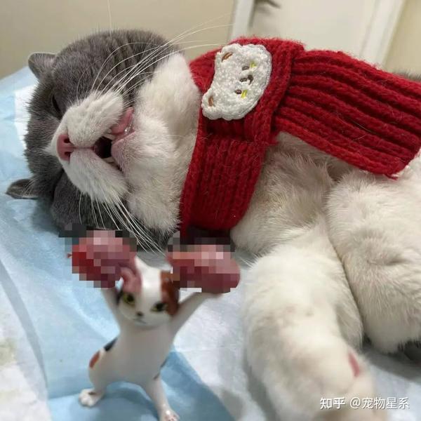 娱乐生活 第118页